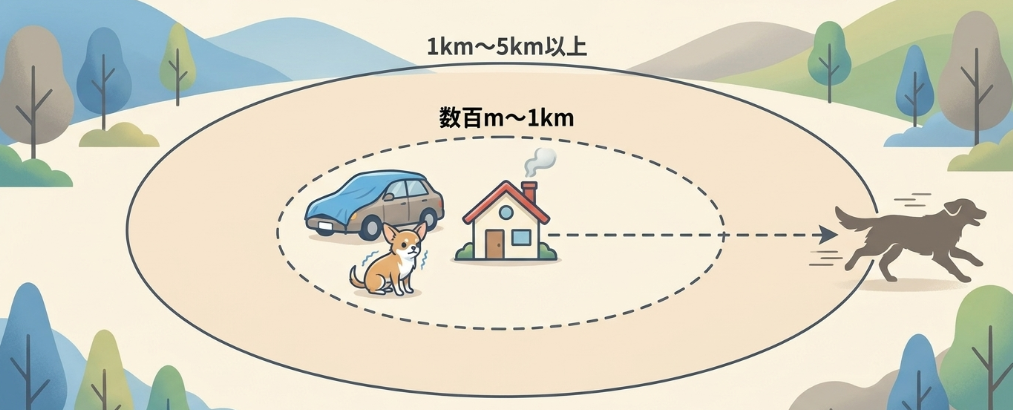 犬が自力で自宅へ戻ってこられる距離